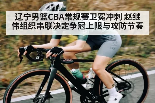 辽宁男篮CBA常规赛卫冕冲刺 赵继伟组织串联决定争冠上限与攻防节奏